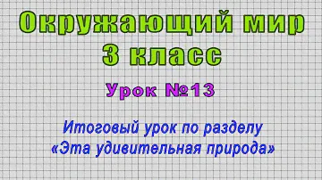Окружающий мир 3 класс (Урок№13 - Итоговый урок по разделу «Эта удивительная природа»)
